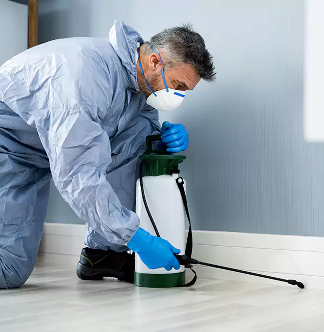 Why Choose Herndon Pest Control Pro for Subterranean Termites Treatment in Herndon, VA?