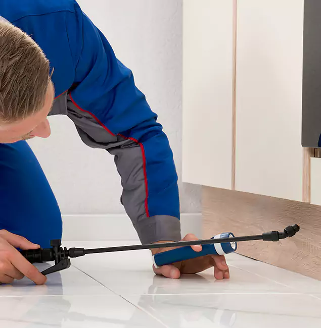 Why Herndon Residents Choose Herndon Pest Control Pro to Get Rid of Sugar Ants?