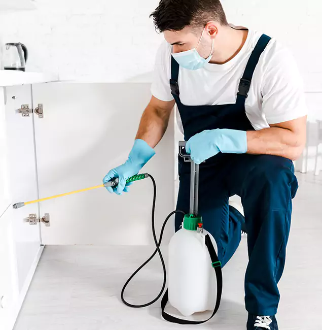 Why Choose Herndon Pest Control Pro for Termite Spot Treatment in Herndon, VA?