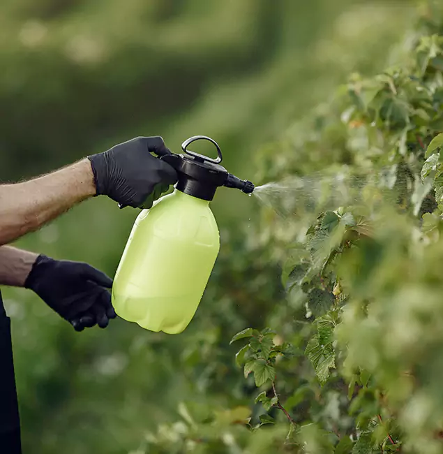 Why Herndon Homeowners Choose Herndon Pest Control Pro for Yard Tick Treatment?