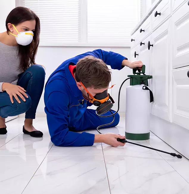 Why Choose Wood Termite Treatment by Herndon Pest Control Pro in Herndon, VA?
