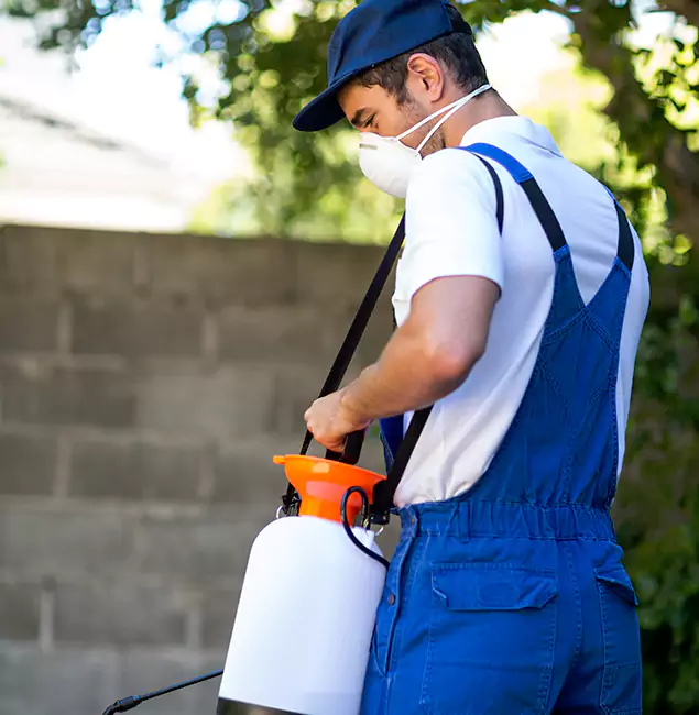 Why Herndon Pest Control Pro Is the Right Choice for Yellow Jacket Removal in Herndon, VA?