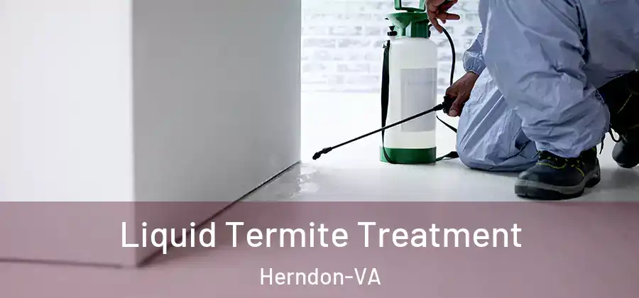  Liquid Termite Treatment Herndon-VA