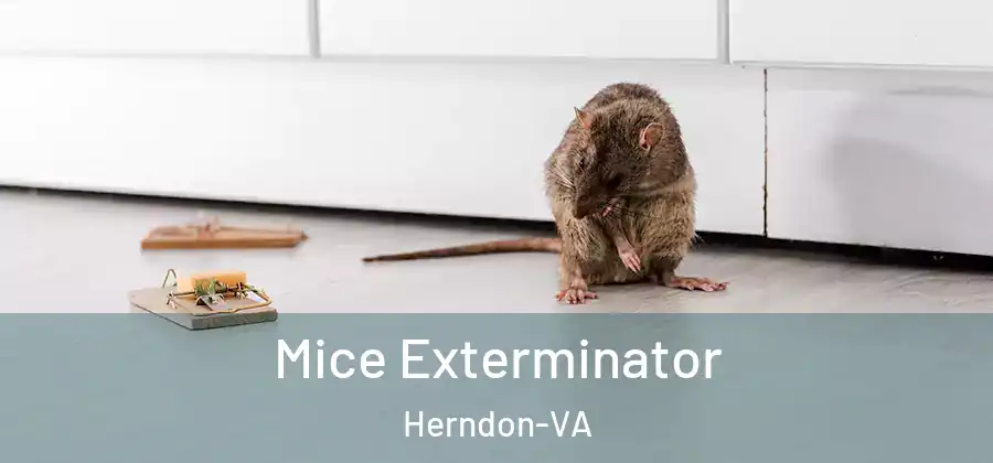  Mice Exterminator Herndon-VA