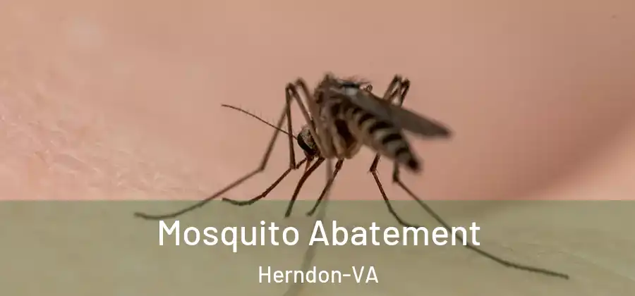  Mosquito Abatement Herndon-VA
