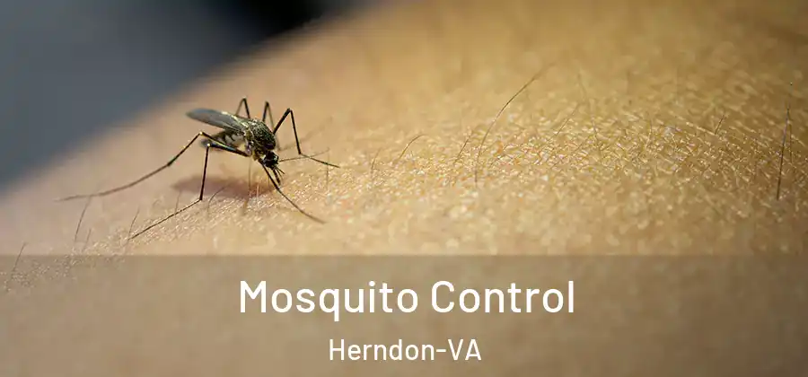  Mosquito Control Herndon-VA
