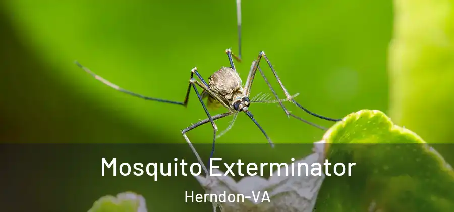  Mosquito Exterminator Herndon-VA