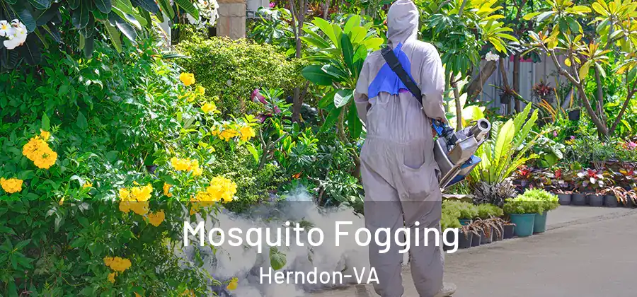 Mosquito Fogging Herndon-VA