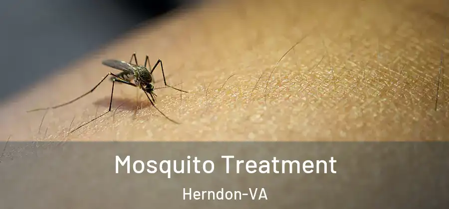 Mosquito Treatment Herndon-VA