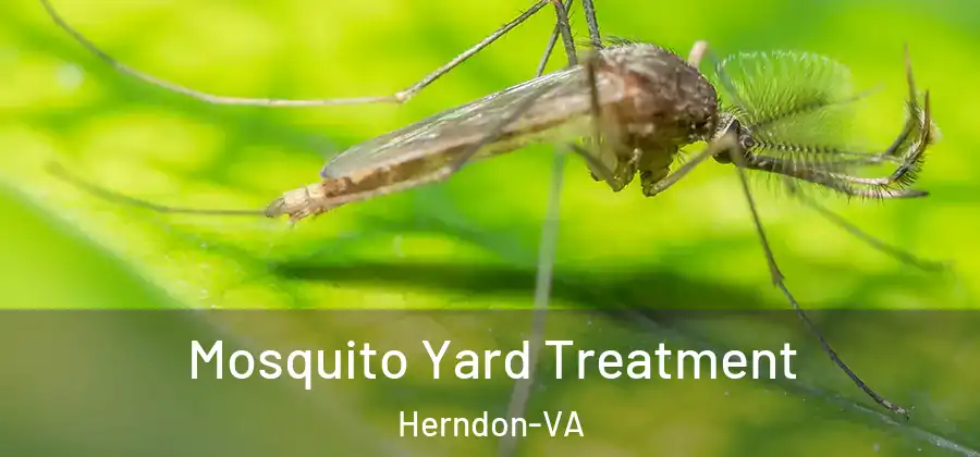  Mosquito Yard Treatment Herndon-VA