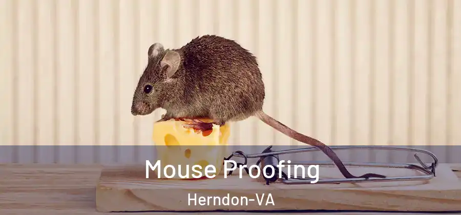 Mouse Proofing Herndon-VA