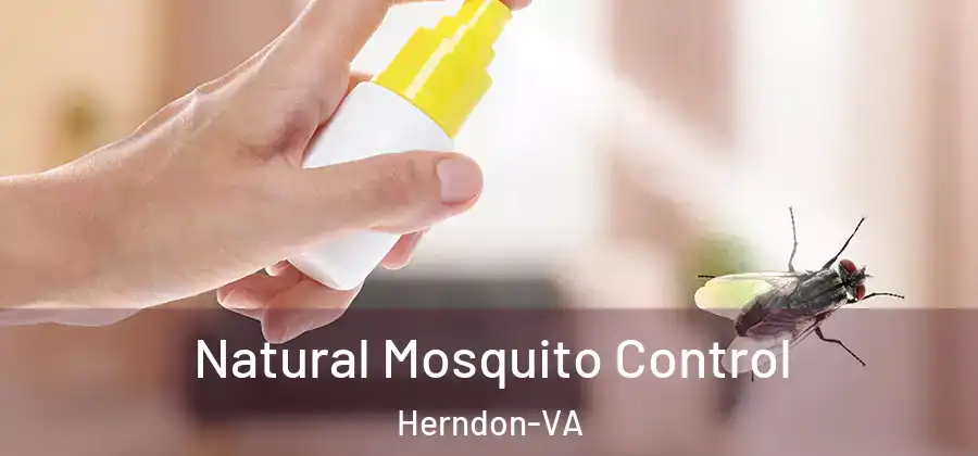  Natural Mosquito Control Herndon-VA