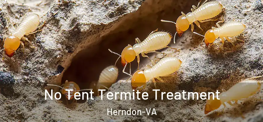 No Tent Termite Treatment Herndon-VA