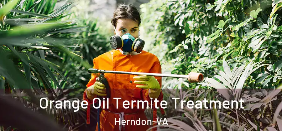 Orange Oil Termite Treatment Herndon-VA