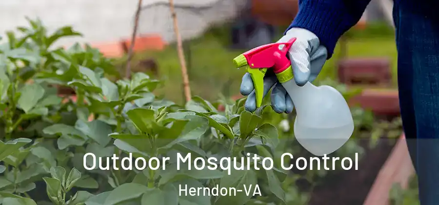  Outdoor Mosquito Control Herndon-VA