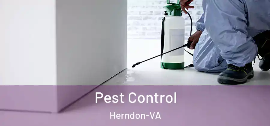 Pest Control Herndon-VA