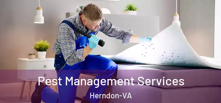  Pest Management Services Herndon-VA