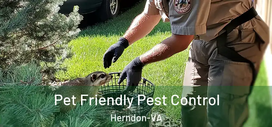  Pet Friendly Pest Control Herndon-VA