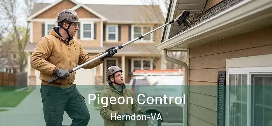  Pigeon Control Herndon-VA
