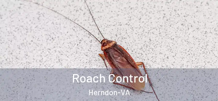 Roach Control Herndon-VA