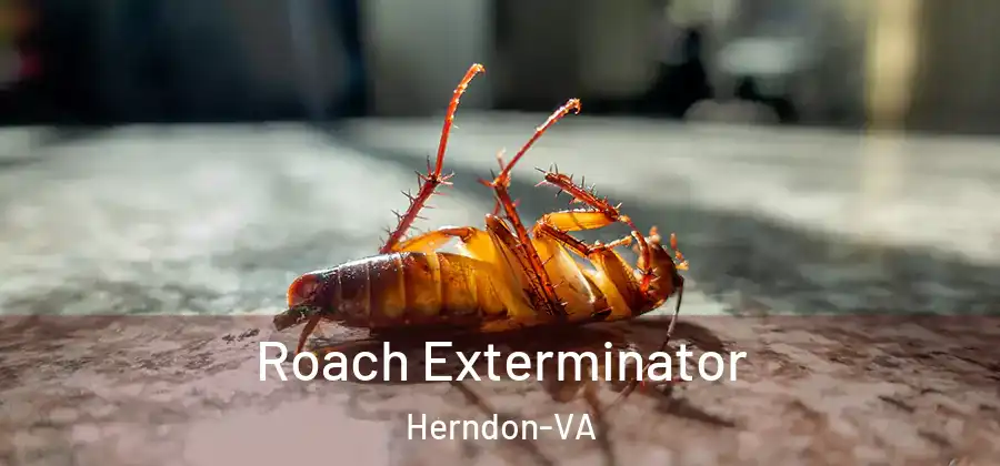 Roach Exterminator Herndon-VA