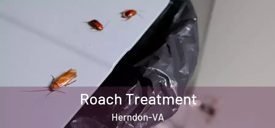  Roach Treatment Herndon-VA