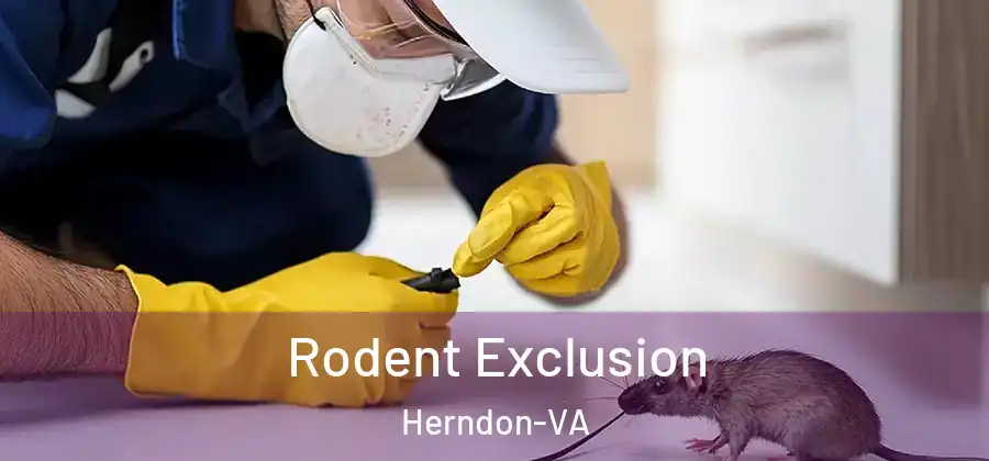  Rodent Exclusion Herndon-VA