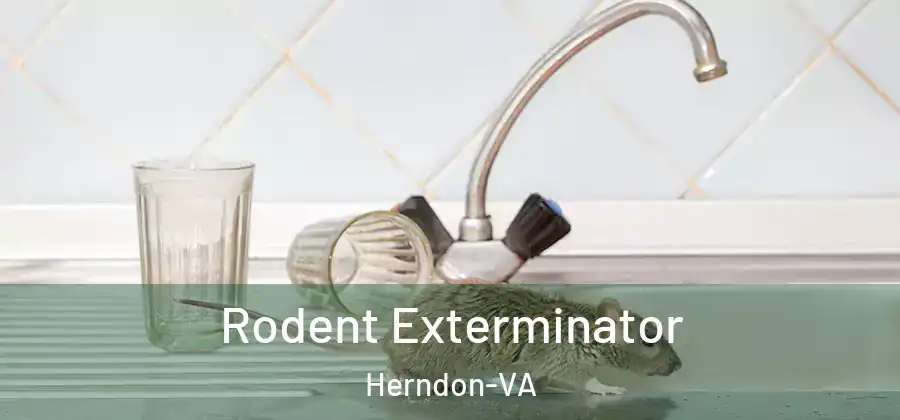  Rodent Exterminator Herndon-VA