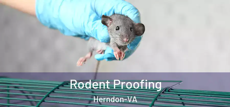  Rodent Proofing Herndon-VA