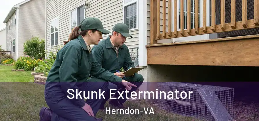  Skunk Exterminator Herndon-VA