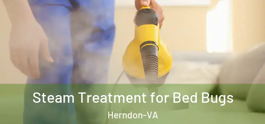  Steam Treatment for Bed Bugs Herndon-VA