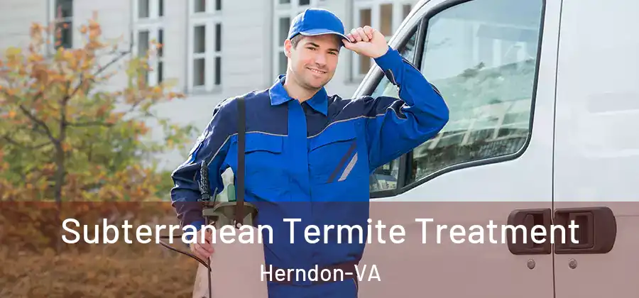  Subterranean Termite Treatment Herndon-VA