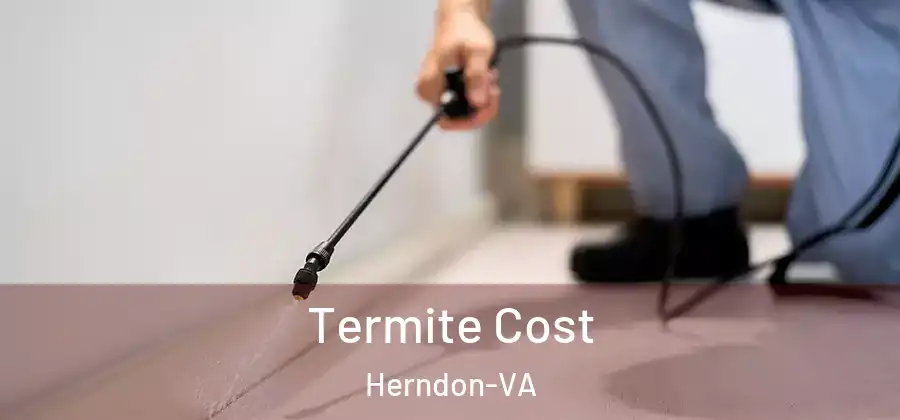  Termite Cost Herndon-VA