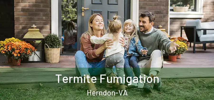 Termite Fumigation Herndon-VA