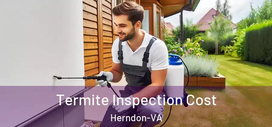 Termite Inspection Cost Herndon-VA