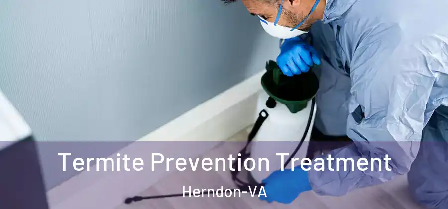 Termite Prevention Treatment Herndon-VA