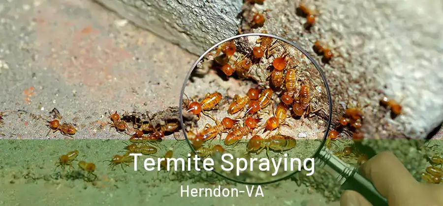Termite Spraying Herndon-VA