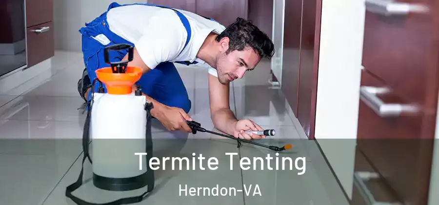  Termite Tenting Herndon-VA