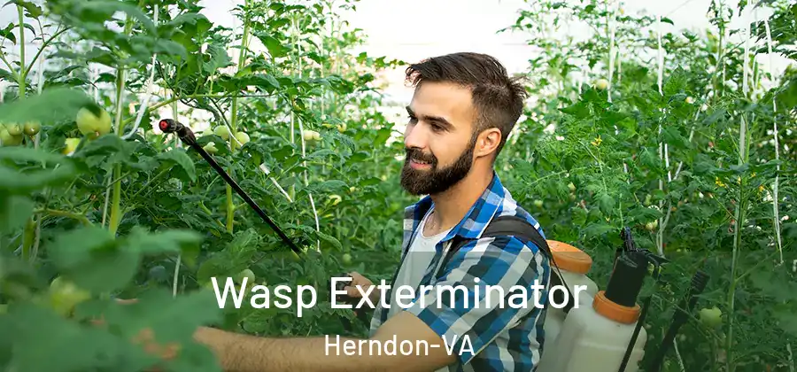 Wasp Exterminator Herndon-VA