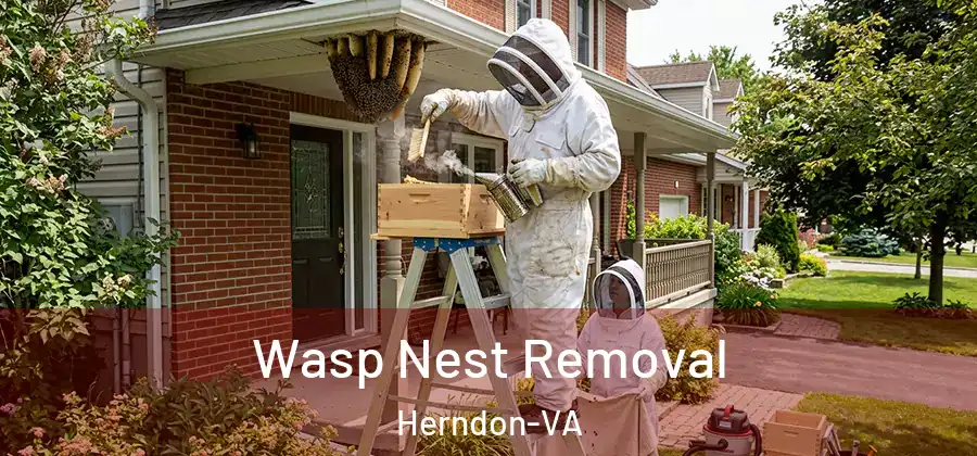  Wasp Nest Removal Herndon-VA