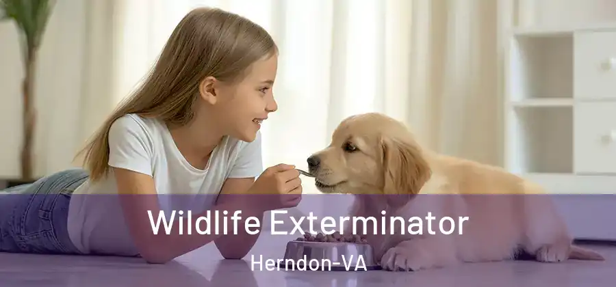 Wildlife Exterminator Herndon-VA