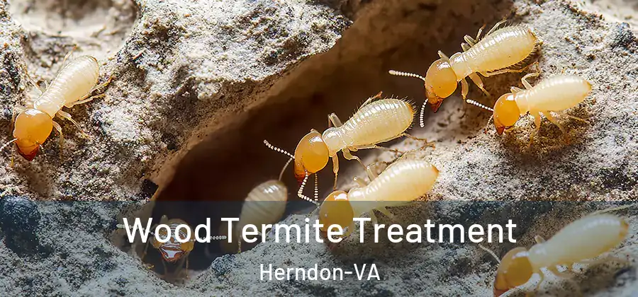 Wood Termite Treatment Herndon-VA