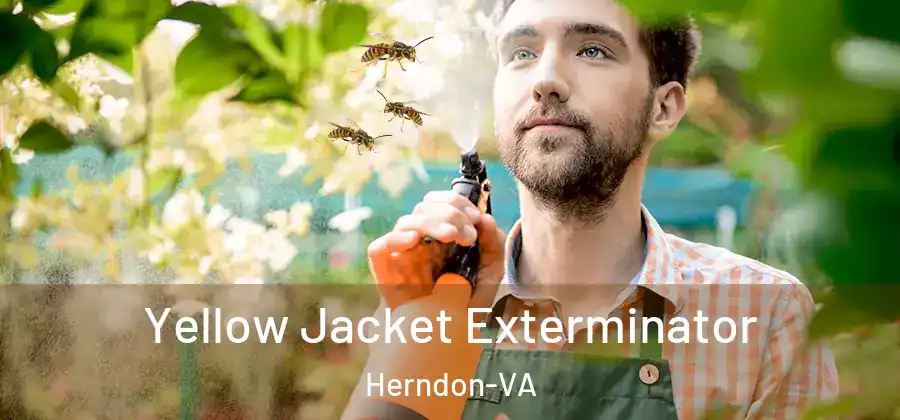  Yellow Jacket Exterminator Herndon-VA
